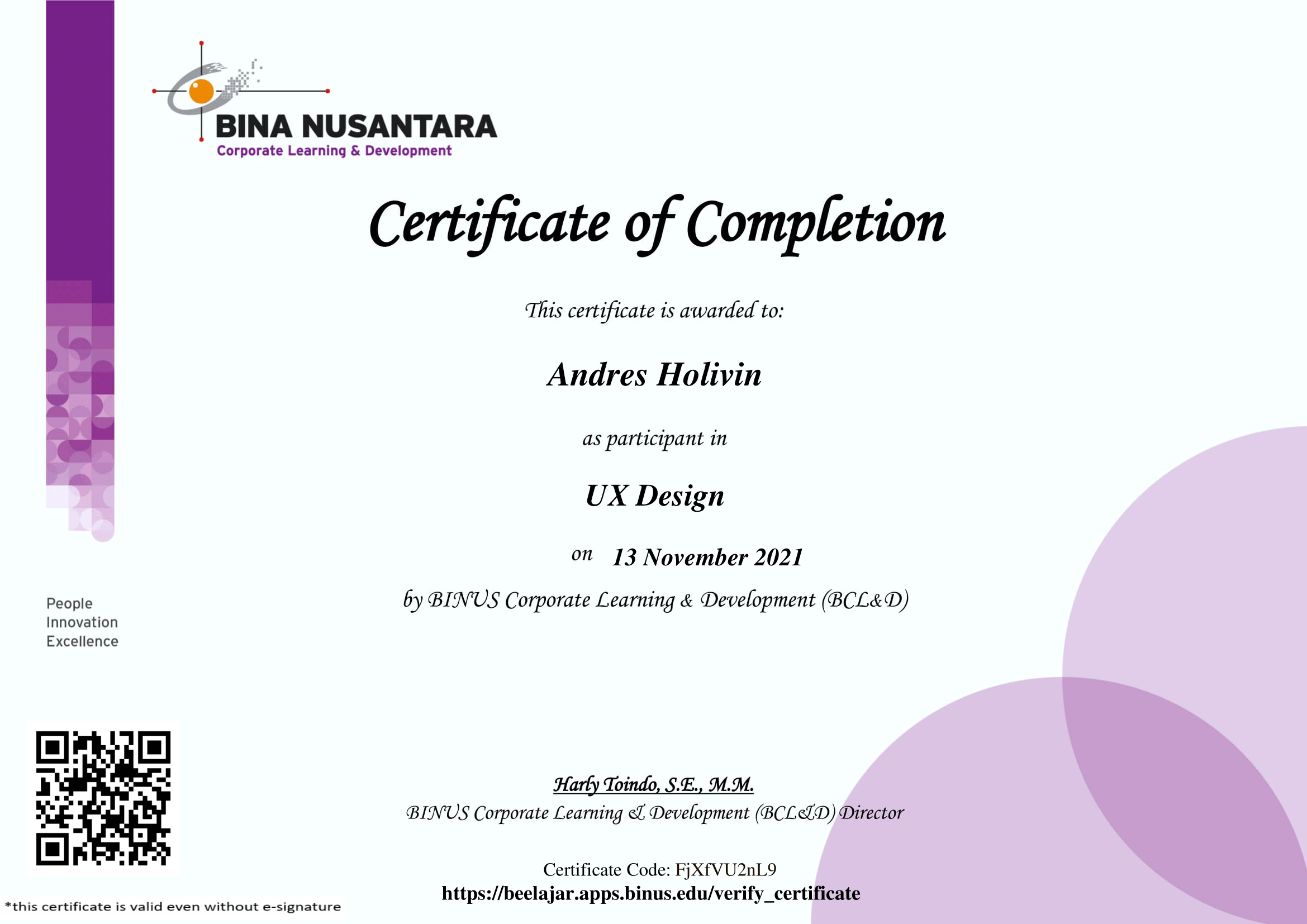 UX Design Certificate